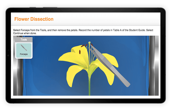 Screenshot of an interactive lesson about dissecting a flower